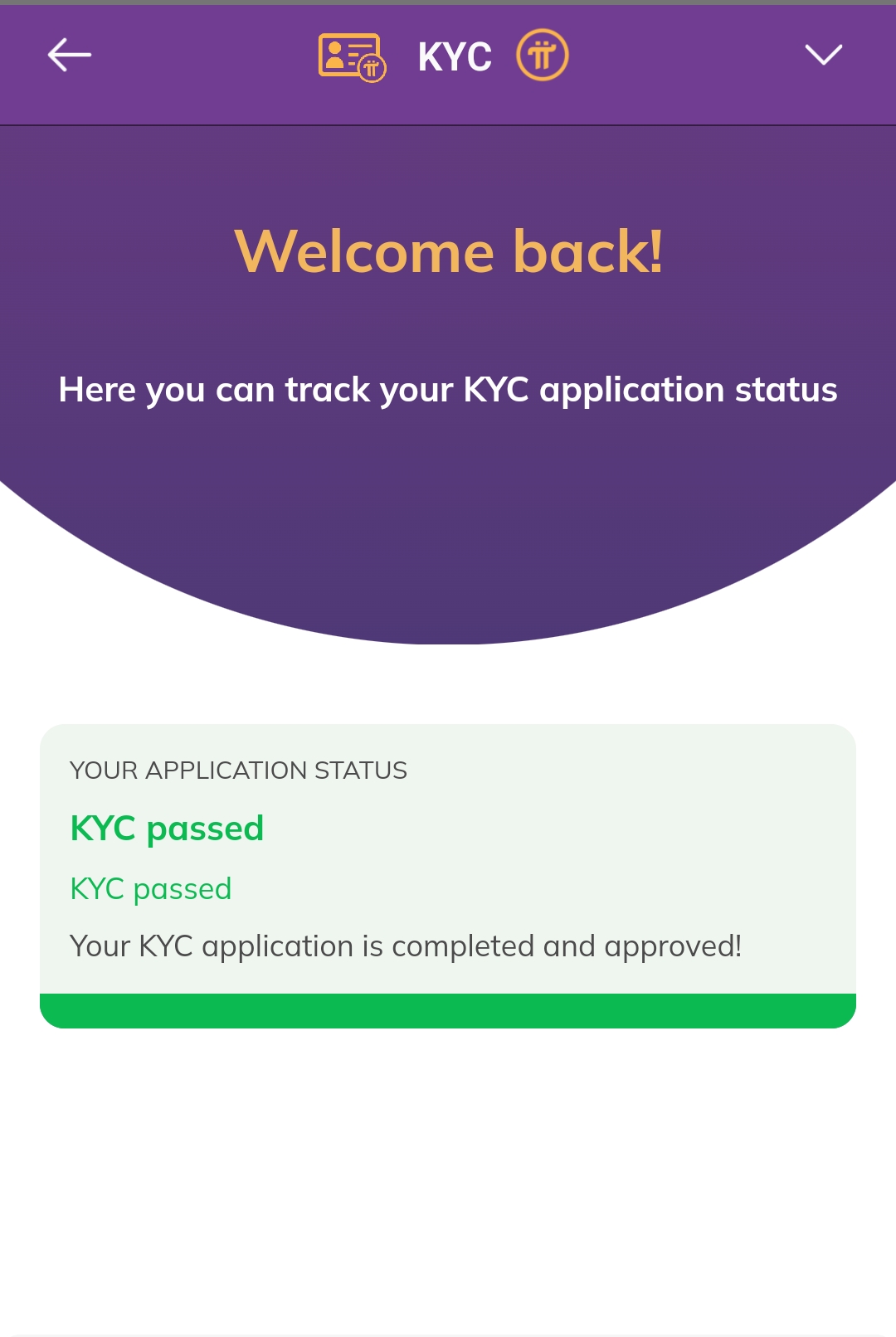 KYC and Mainnet Delay